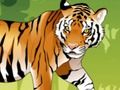 खेल गुस्से में टाइगर रंग  ऑनलाइन