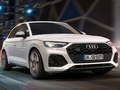 खेल ऑडी SQ5 TDI स्लाइड  ऑनलाइन