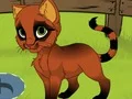 खेल My Kitten ऑनलाइन