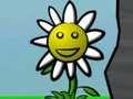 खेल Flower Power ऑनलाइन