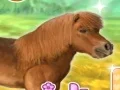 खेल My Dear Pony ऑनलाइन
