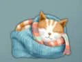 खेल Adorable Escape Find Cute Kitten ऑनलाइन