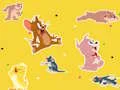 खेल The Tom and Jerry Show Find it! ऑनलाइन