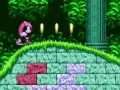 खेल Mighty & Ray In Sonic 2 ऑनलाइन