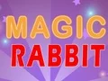 खेल Magic Rabbit ऑनलाइन