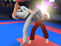 खेल Karate Fighter ऑनलाइन