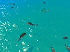 खेल Hungry Shark Hunt ऑनलाइन