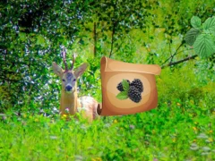 खेल Return To Alsunga Forest ऑनलाइन