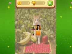 खेल Farm Cat Memory Match ऑनलाइन