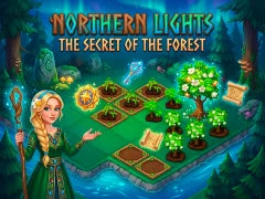 खेल Northern Lights - The Secret Of The Forest ऑनलाइन