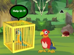 खेल Release Trapped Macaw Buddy ऑनलाइन