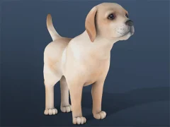 खेल IDLE Pet ऑनलाइन