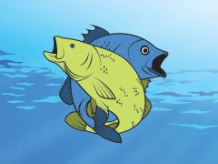 खेल Friendly Fish Coloring ऑनलाइन