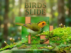खेल Birds Slide ऑनलाइन