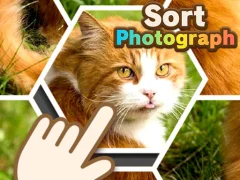 खेल Sort Photograph ऑनलाइन