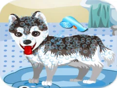 खेल My Cute Dog Bathing ऑनलाइन