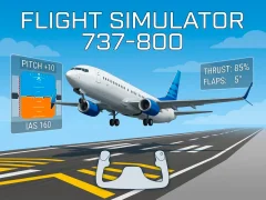 खेल Flight Simulator 737-800 ऑनलाइन