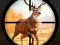 खेल Wild Hunting Clash ऑनलाइन