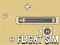 खेल Flight Sim ऑनलाइन