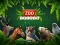 खेल ZOO Trivia ऑनलाइन