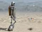 खेल Automaton 2015 ऑनलाइन