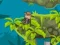 खेल Indi Cannon Players Pack ऑनलाइन