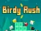 खेल Birdy Rush ऑनलाइन