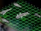 खेल Intergalactic Battleships ऑनलाइन