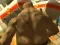 खेल Monster Simulator ऑनलाइन