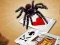 खेल Jumping Spider ऑनलाइन