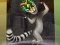 खेल King Julien: Trommel-Tanz ऑनलाइन
