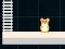 खेल Hamster Grid Even Odd ऑनलाइन