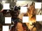 खेल Transformers 3 image puzzles ऑनलाइन