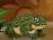 खेल Frogs Matching ऑनलाइन