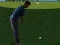 खेल Flash Golf 3D ऑनलाइन