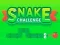 खेल Snake Challenge ऑनलाइन