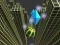खेल Marble Rolling Stunt ऑनलाइन