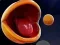 खेल Pac-Man 3d ऑनलाइन