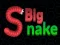 खेल Big Snake.io ऑनलाइन