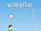 खेल VolleyBall ऑनलाइन