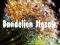 खेल Dandelion Jigsaw ऑनलाइन
