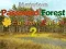 खेल Mysterious Password Forest Autumn Edition 2 ऑनलाइन