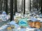 खेल Winter Wonderland Forest Adventure ऑनलाइन