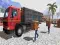खेल Asian offroad cargo truck driver ऑनलाइन