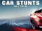 खेल Car Stunts Sky Tour ऑनलाइन