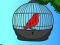 खेल Red Bird Rescue ऑनलाइन