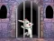 खेल Victory Rabbit Escape ऑनलाइन