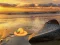 खेल Escape From Sunset Beach ऑनलाइन