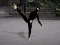 खेल Ninja Academy ऑनलाइन