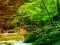 खेल Peaceful Rainbow Forest Escape ऑनलाइन